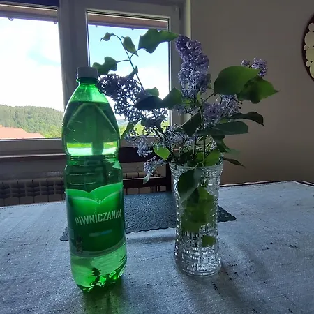 Nad Potokiem Apartament Piwniczna-Zdroj